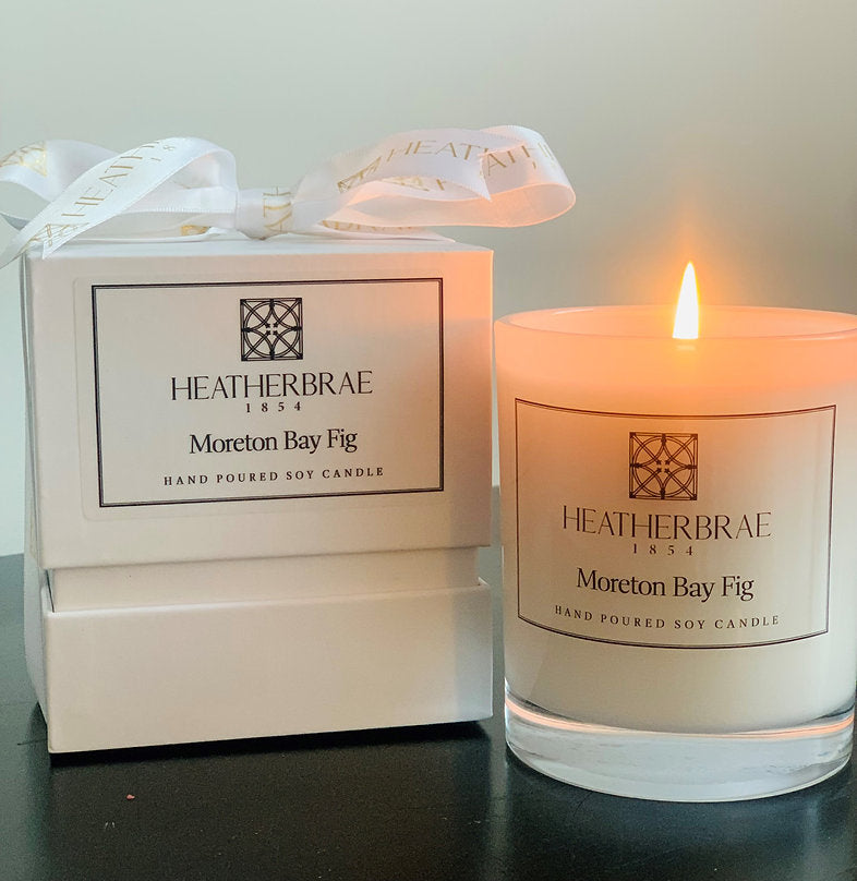 Moreton Bay Fig Candle