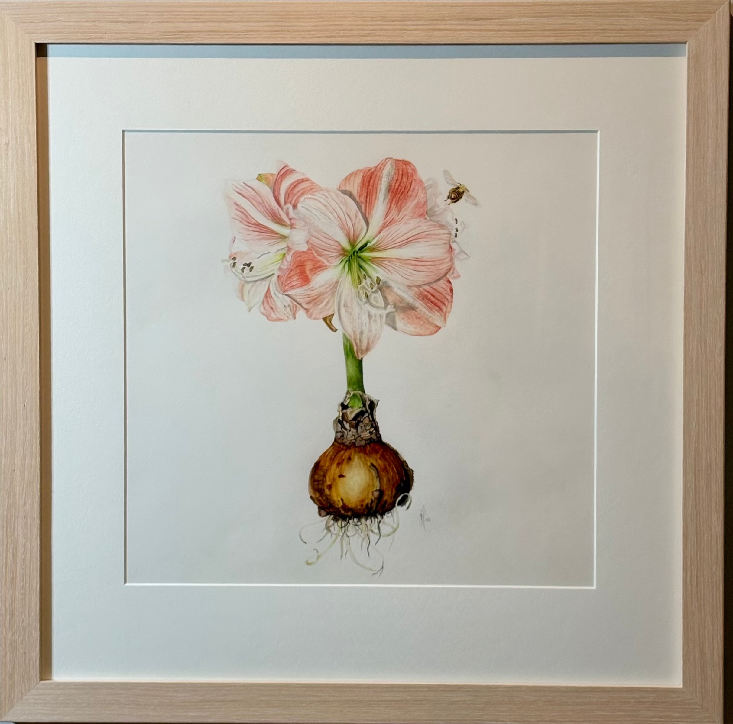 'Amaryllis Amore' by Lee Machain (2021) - Original