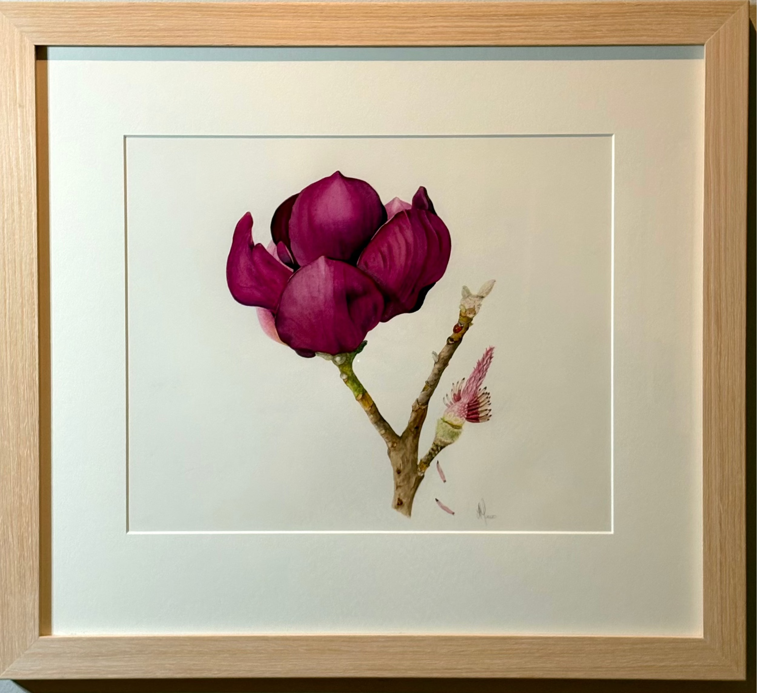 'Black Tulip Magnolia' by Lee Machain (2020) - Original
