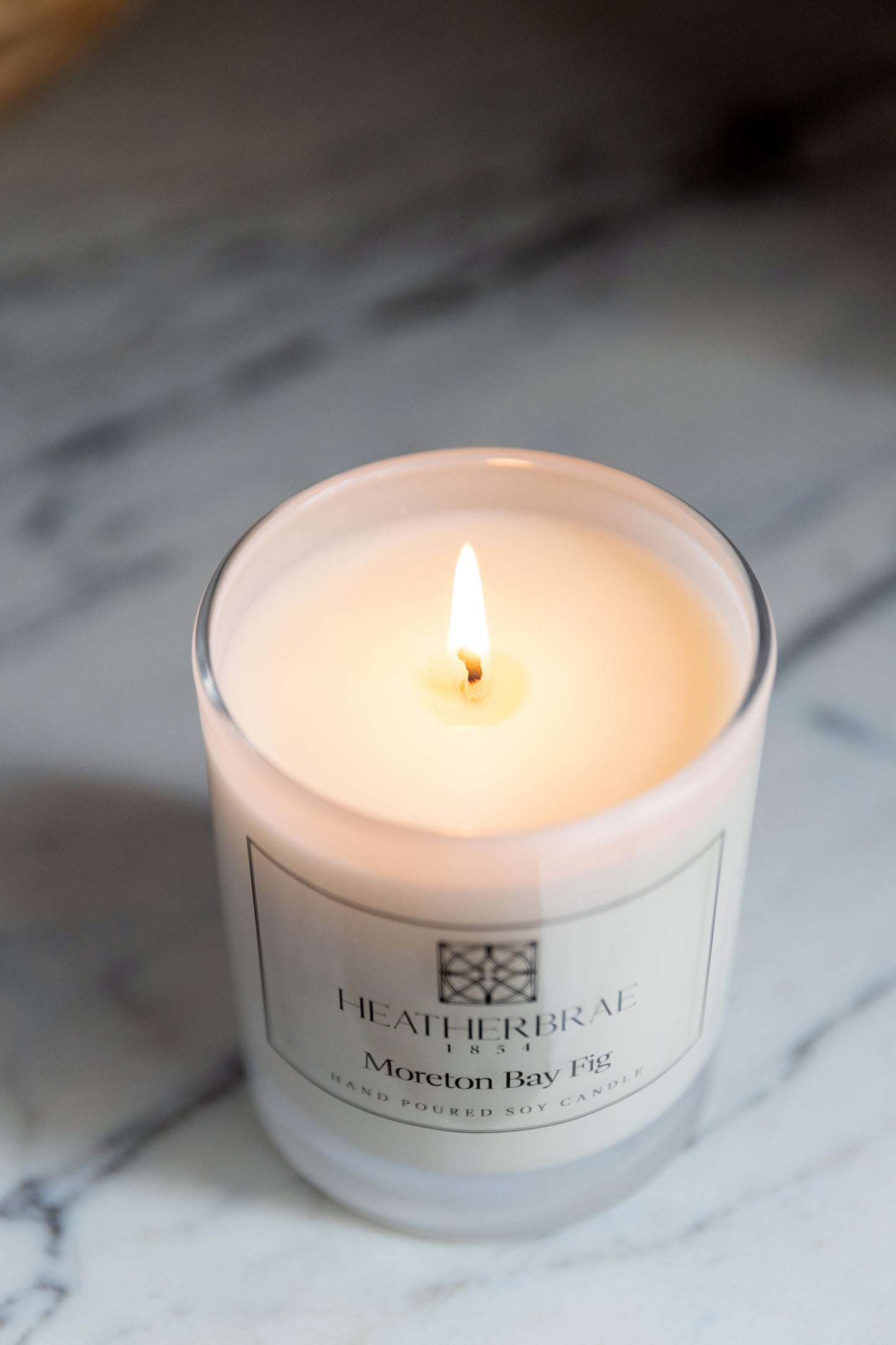 Moreton Bay Fig Candle