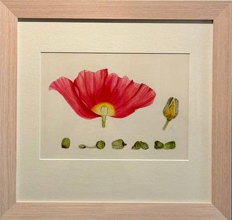 'Inside Story' by Lee Machain (2018) - Original
