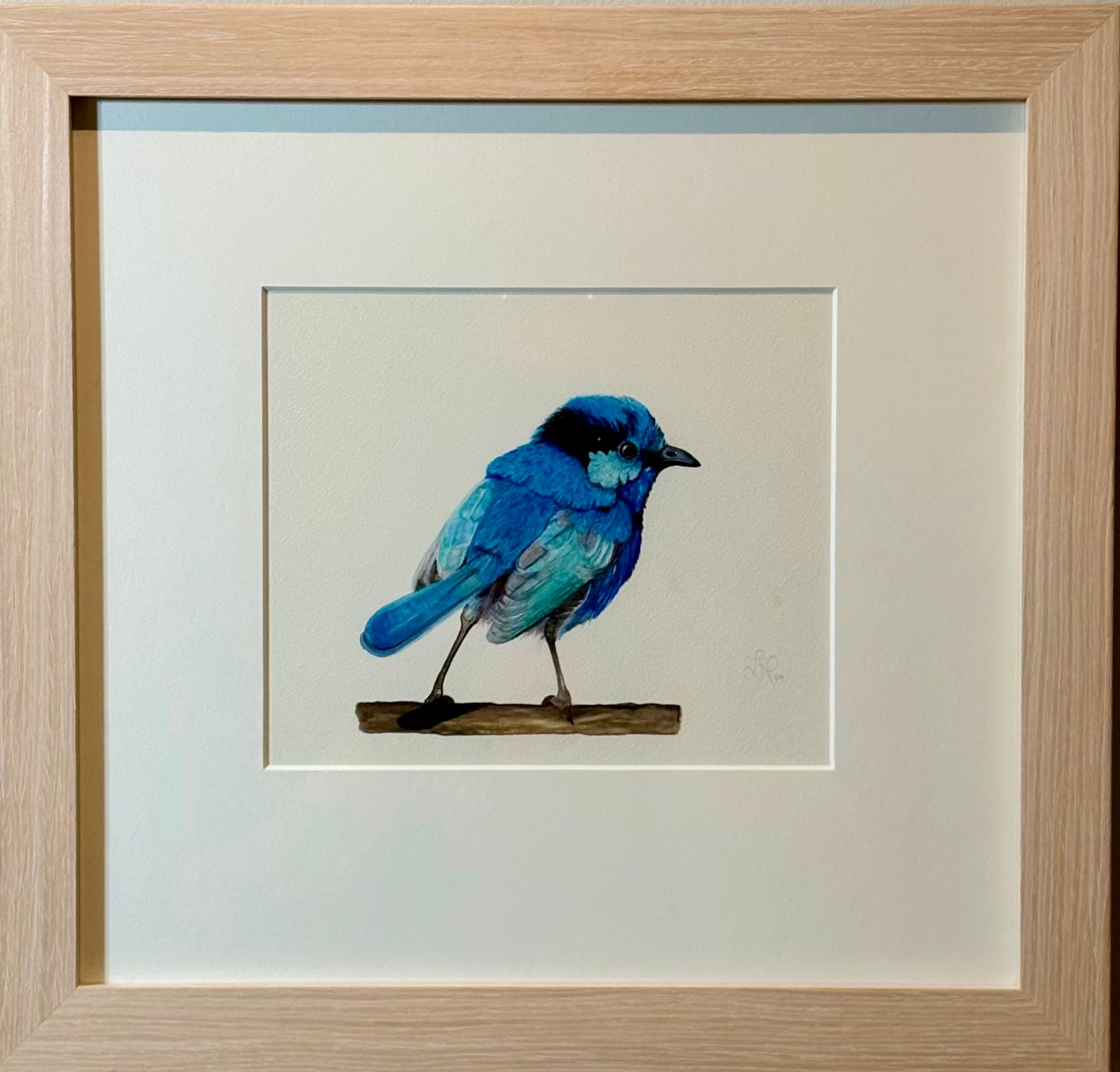 'Little Blue' by Lee Machain (2019) - Original
