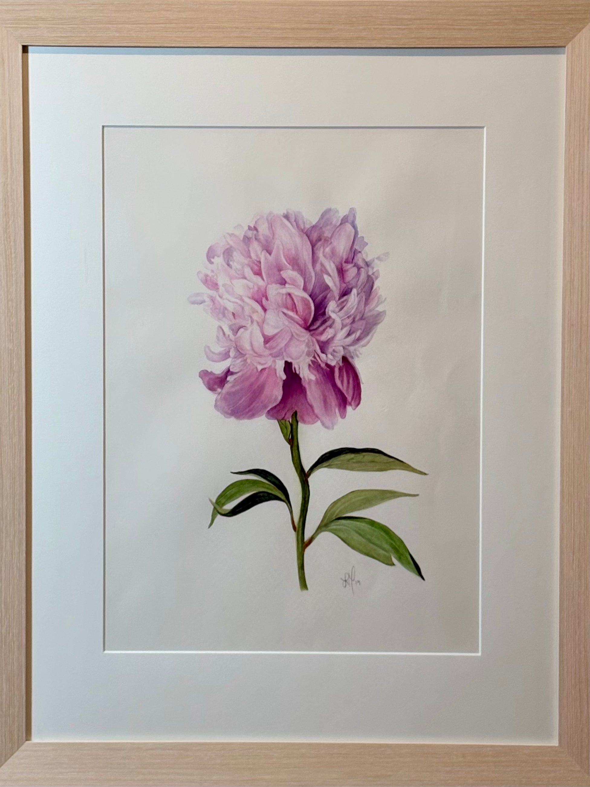 'Peony Debut' by Lee Machain (2019) - Original
