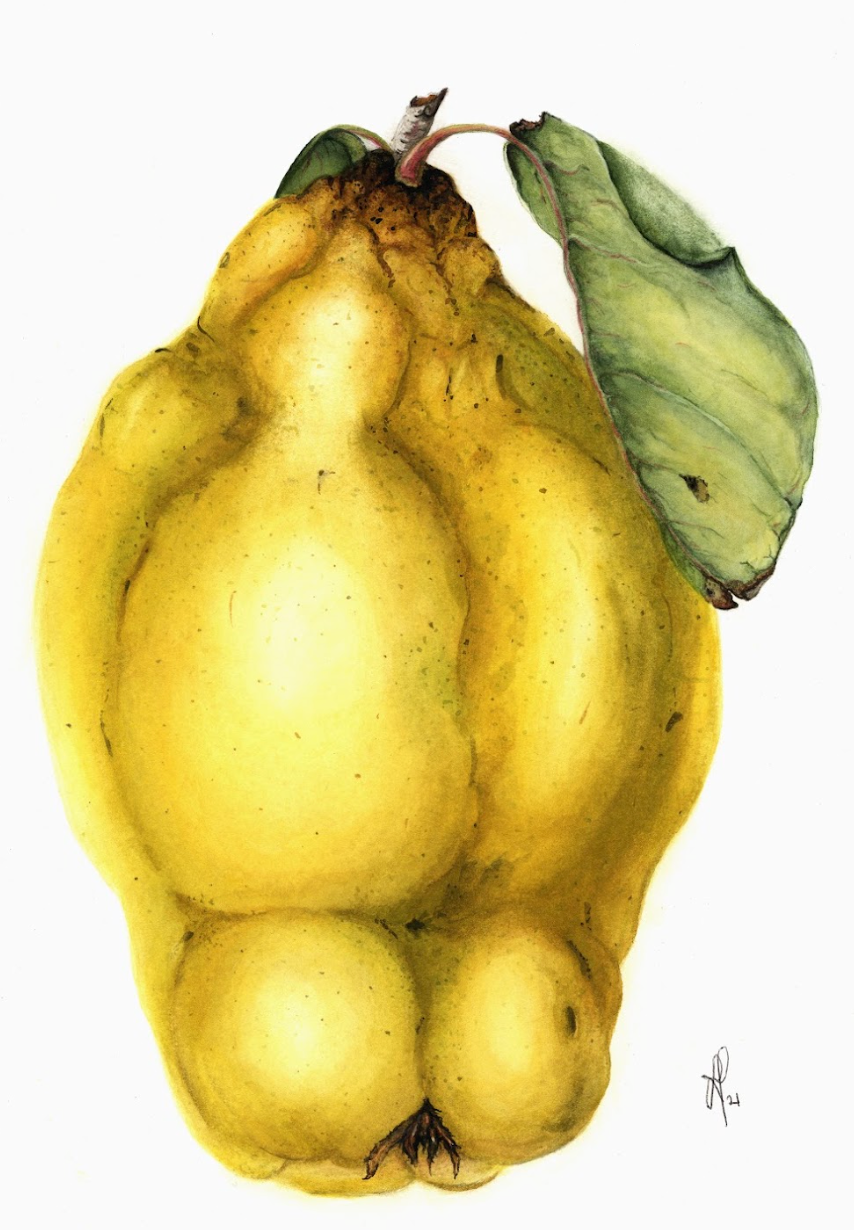 'Quince - Not Yet Paste' by Lee Machain (2021) - Original